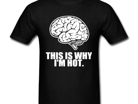 This Is Why I m Hot T-shirt For Discount